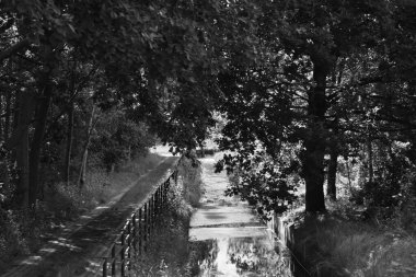 Şehir merkezinde bir çayır. Siyah beyaz sanatsal görünüş.