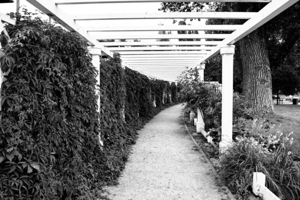 Ein Schöner Park Einem Wohngebiet Von Danzig Die Natur Dienste — Stockfoto