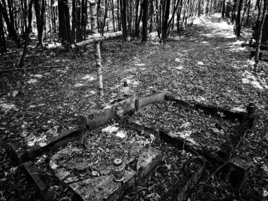 Eski unutulmuş mezarlık, Biedrusko, Polonya.