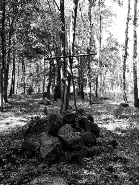 Ancien Cimetière Oublié Biedrusko Pologne — Photo