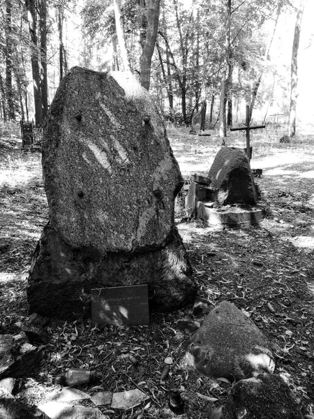 Antiguo Cementerio Olvidado Biedrusko Polonia — Foto de Stock