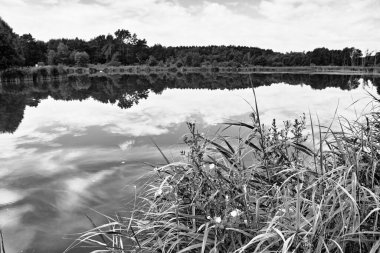 Polonya, Lysy Mlyn 'deki göl manzarası çok güzel..
