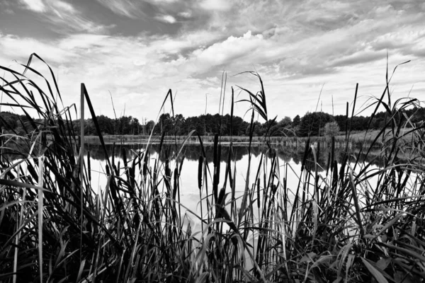 Hermosa Vista Del Paisaje Lago Lysy Mlyn Polonia —  Fotos de Stock