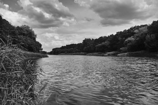 Warta Nehri Nin Güzel Doğa Manzarası Polonya — Stok fotoğraf