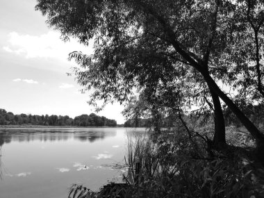 Polonya 'nın Szymbark Kalesi yakınlarındaki göl manzaralı güzel bir yer...