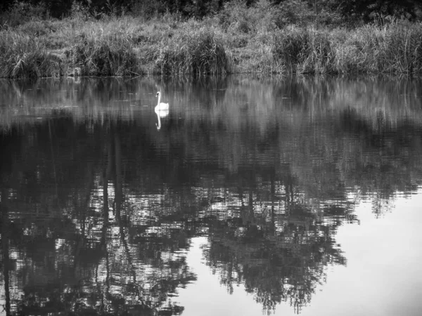 Polonya Lysy Mlyn Deki Göl Manzarası Çok Güzel — Stok fotoğraf