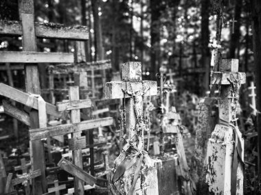 A lot of crosses on a Holy Mount Grabarka, the most important location of Orthodoxy worship in Poland. clipart