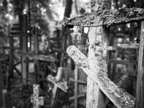 Viele Kreuze Auf Dem Heiligen Berg Grabarka Dem Wichtigsten Ort — Stockfoto