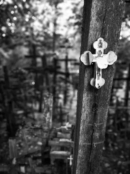 ポーランドで最も重要な正教会の場所であるグラバルカ山には多くの十字架があります — ストック写真