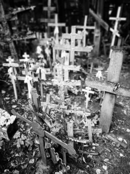 在神圣的格拉巴卡山上有许多十字架 这是在波兰东正教最重要的礼拜地点 — 图库照片