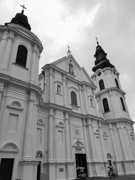 Den Katolske Kirke Peter Paul Vor Frue Lesnias Helligdom Lesna - Stock-foto