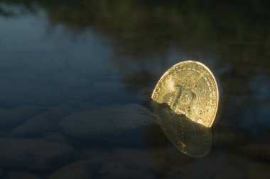 Ayı eğilimleri ile batan Bitcoin kripto para birimi