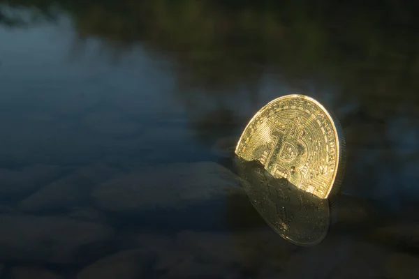 Ayı eğilimleri ile batan Bitcoin kripto para birimi