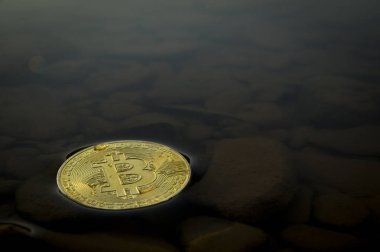 Bitcoin kripto para birimi yüzen