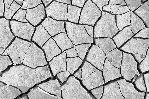 Terreno com terra seca tirada de cima — Fotografia de Stock