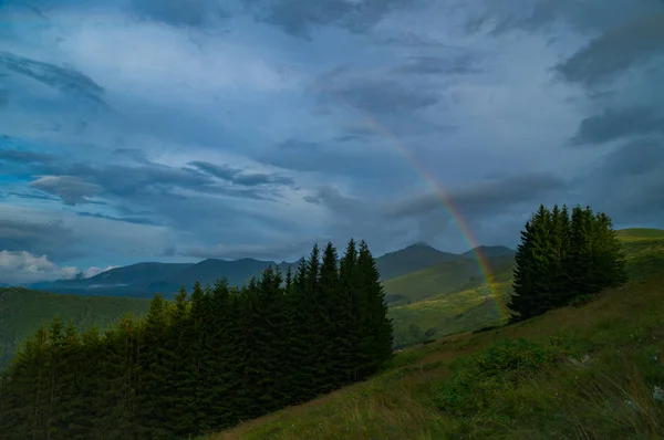 Tęcza w górach pomiędzy drzewami z High Peak — Zdjęcie stockowe