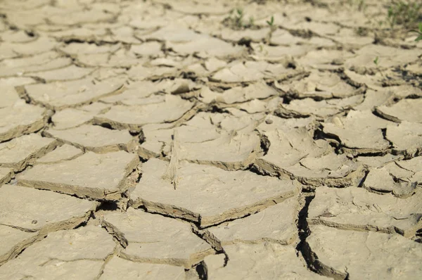 Parche de tierra de seco tierra tiro desde un ángulo —  Fotos de Stock