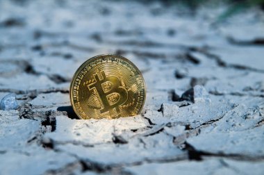 Alt kuru destek isabet Bitcoin Btc kripto para birimi