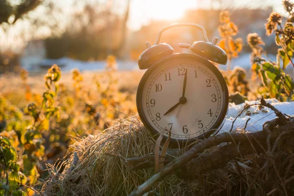 MORNING ALARM CLOCK IN A COLD ICY GRASS WITH SUNRISE