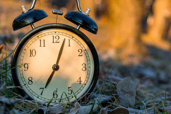 POR LA MAÑANA EL RELOJ DE LA ALARMA EN UN Césped FRÍO CON SUNRISE — Foto de Stock