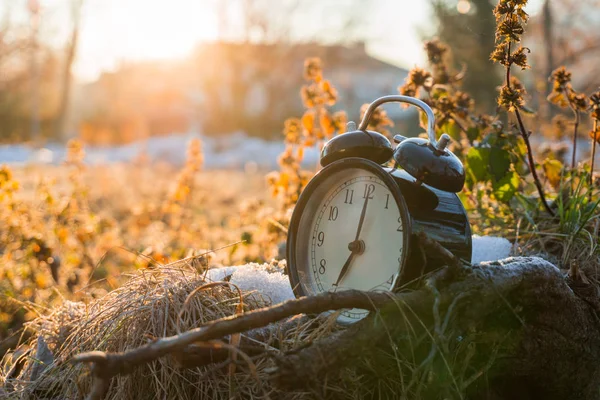 POR LA MAÑANA EL RELOJ DE LA ALARMA EN UN Césped FRÍO CON SUNRISE —  Fotos de Stock