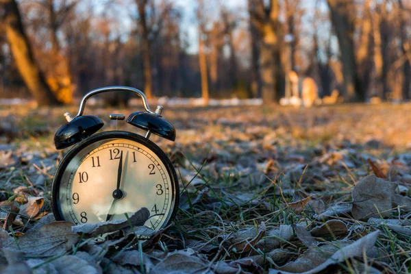 OROLOGIO DI ALLARME DEL MATTINO IN UN'GRASSI DI ICY A FREDDO CON SUNRISE — Foto Stock