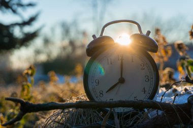 Sabah çalar saat Sunrise bir soğuk buz gibi çim