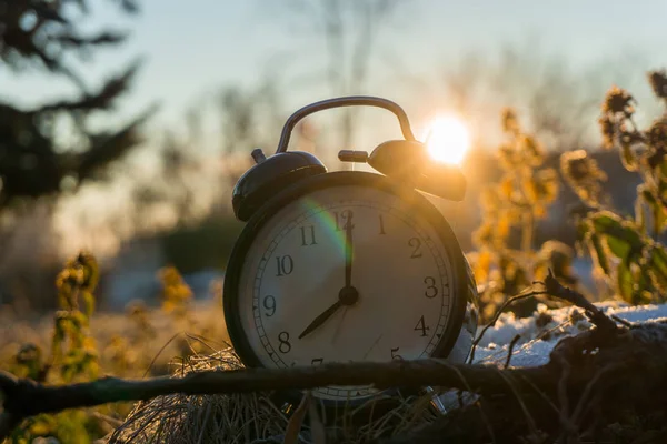 MORNING ALARM CLOCK IN A COLD ICY GRASS WITH SUNRISE — Stock Photo, Image