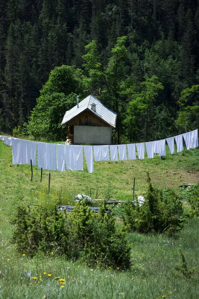 WOODEN CABIN IN THE FORREST WITH WHITE LAUNDRY INFRONT — Stock Photo, Image