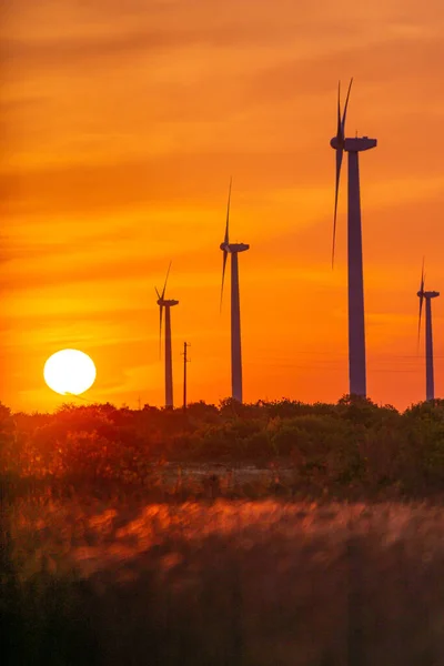 WIND POWER GENERATORÓW ONSHORE SILHOUETTES Z SUNSETEM — Zdjęcie stockowe