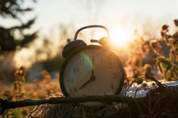 Orologio d'allarme la mattina nella foresta con raggi solari — Foto Stock