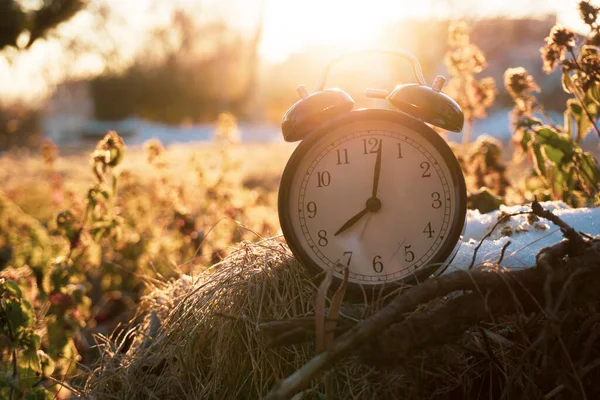 Orologio d'allarme la mattina nella foresta con raggi solari — Foto Stock