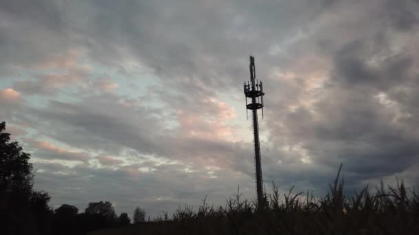 5G通信タワー、 2羽の鳥が着陸し、パンニングが安定した動き — ストック動画
