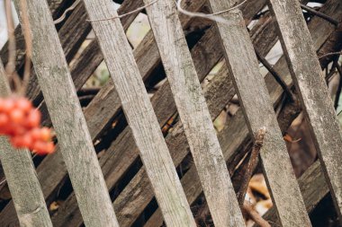 Eski duvar doku sokakta