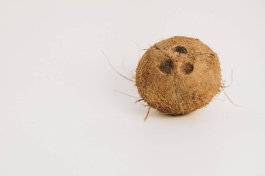 Arka plan üzerinde izole Hindistan cevizi