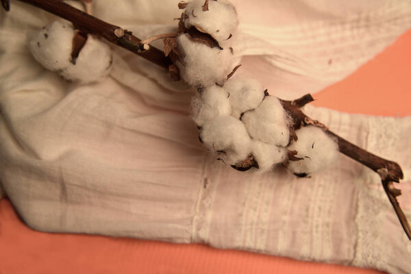 A branch with ripened and opened cotton bolls lies on a white shirt, stitched from natural cotton fabric decorated with embroidery.