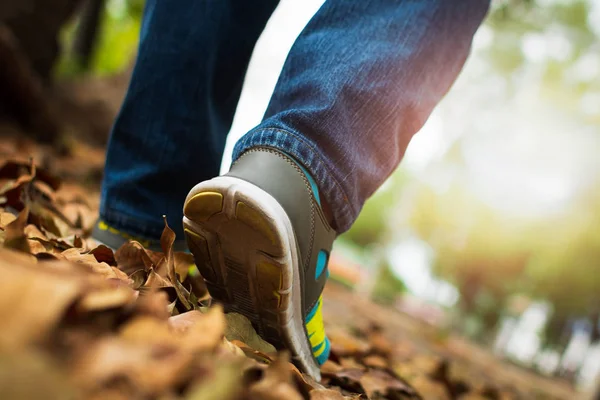 Spor ayakkabı giyen ve alanındaki kodu yaz aylarında yürüyüş insanların ayak kapatın.