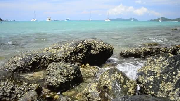 Paisaje Bahía Yon Andaman Mar Con Agua Clara Yates Durante — Vídeos de Stock