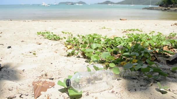 Limpador Coleta Lixo Praia Areia Saco Plástico Verde Garrafas Plástico — Vídeo de Stock