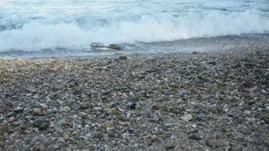 Sahilde birçok küçük taş ile bir deniz kıyısında kırma dalgaları oluşan köpük yakın.
