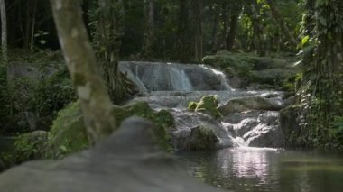 Tarayıcı, ormanın güneş ışığı altındaki doğal gölete akan tatlı su akıntılarını vurdu. Manzara şelalesi tropik yağmur ormanlarındaki yeşil bitkilerin arasından kayaların üzerinden akıyor. Tayland 'daki Sa Nang Manora orman parkı..