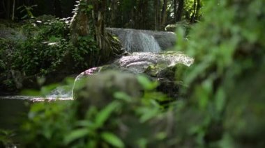 Açılış çekimi, tatlı su akıntılarının ormanda güneş ışığı altında doğal gölete akmasını sağladı. Manzara şelalesi tropik yağmur ormanlarındaki yeşil bitkilerin arasından kayaların üzerinden akıyor. Tayland 'daki Sa Nang Manora orman parkı..