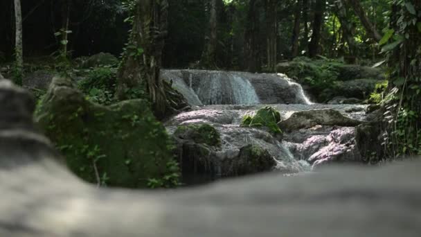 Onthullend Schot Zoet Water Stroomt Natuurlijke Vijver Onder Zon Jungle — Stockvideo