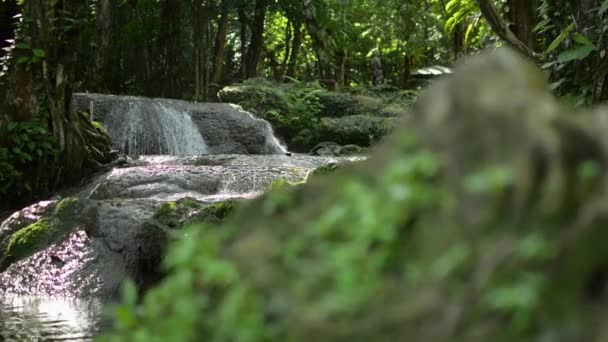 Landstroom Waterval Stroomt Rotsen Door Groene Planten Het Tropische Regenwoud — Stockvideo