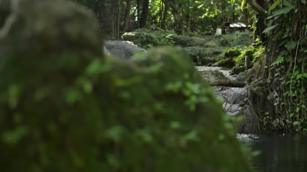 Landskapsvattenfall Som Rinner Över Klippor Genom Gröna Växter Den Tropiska — Stockvideo
