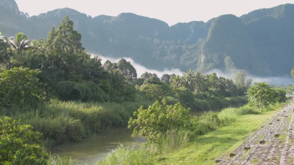 夏には山や常緑樹と小さな川の風景風景 霧が朝陽射しの下で森の一部を覆っている 田舎の風景 パンガー県 — ストック動画