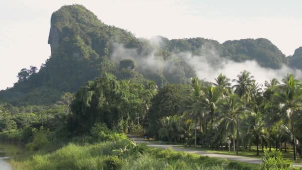 夏には山や常緑樹と小さな川の風景風景 霧が朝陽射しの下で森の一部を覆っている 田舎の風景 パンニングショット パンガー県 — ストック動画