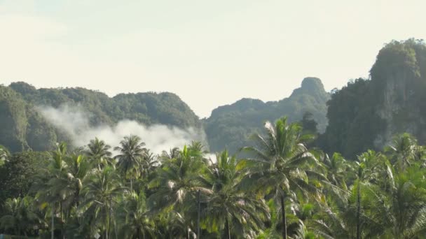 夏には山や常緑樹とココナッツのプランテーションの風景 霧が朝陽射しの下で森の一部を覆っている 田舎の風景 パンガー県 — ストック動画