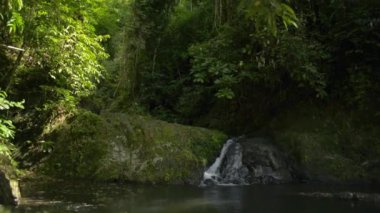 Dağlardan akan küçük bir şelale. Tropikal yağmur ormanlarında güneş ışığı altındaki doğal gölete akan güzel tatlı su. Namtok Raman Orman Parkı. Phang Nga bölgesi. Tayland. Atış kaldırılıyor.