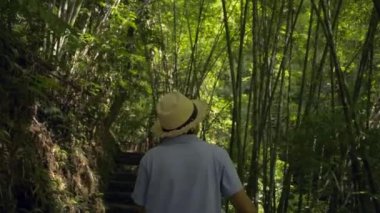 Hasır şapka giyen kadın turist, sabahleyin güneş ışığı altında tropikal yağmur ormanları arasında yol boyunca yürüyor. Namtok Raman Orman Parkı. Phang Nga Eyaleti. Tayland. Arka plan görüntüsü.